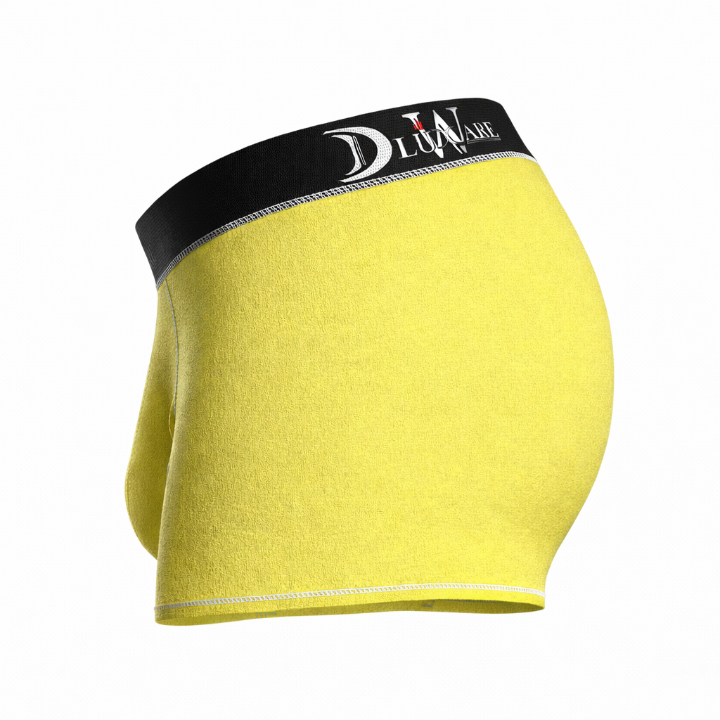 DLUX Boxer Brief - Aspen Gold